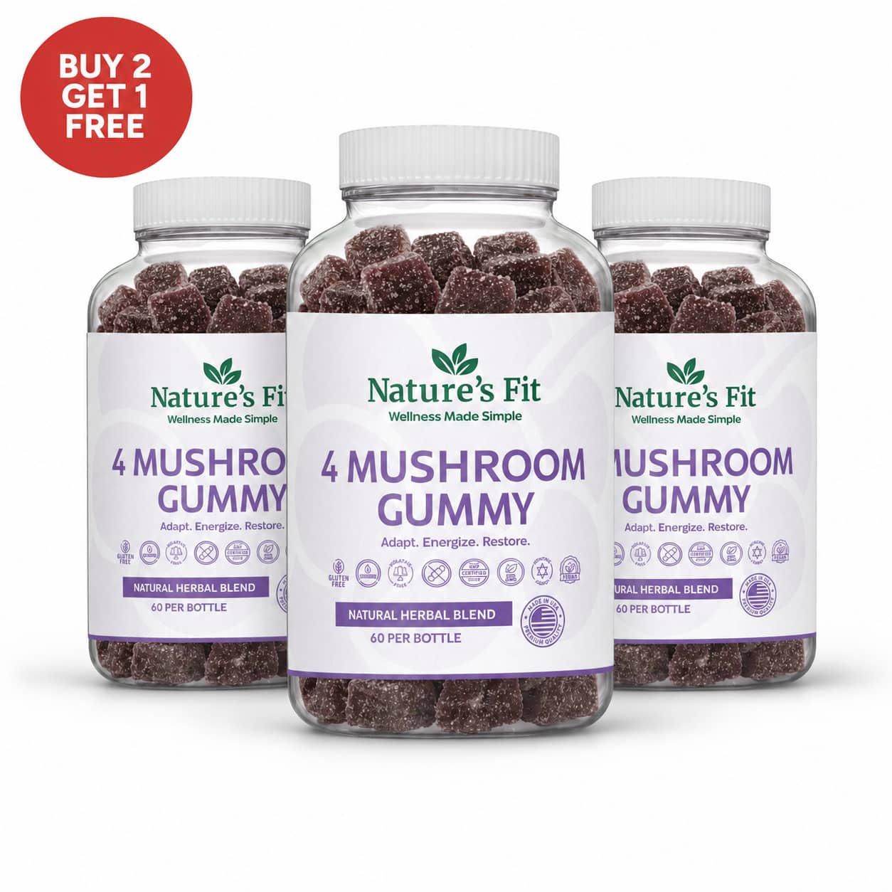 4 Mushroom Gummy — Focus & Immunity Blend