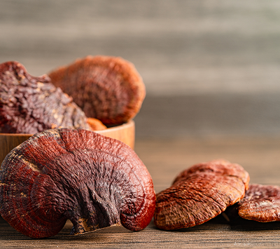 Reishi